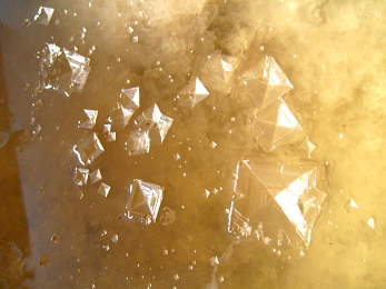 塩の結晶